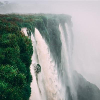 凤凰彩票app下载手机版